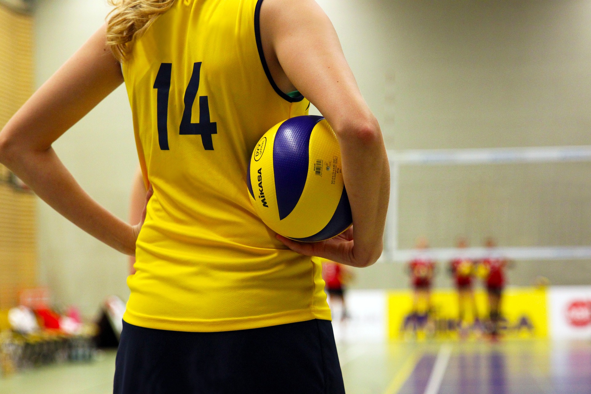 Section Sportive Volley-Ball