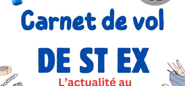 CARNET DE VOL N°8 CARNET DE VOL N°8